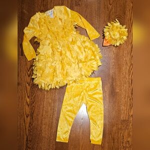 Chasing Fireflies Spring Chicken costume